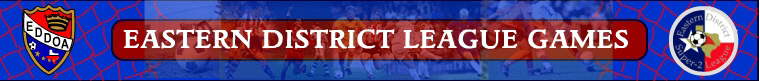 South Texas Youth Soccer Association banner